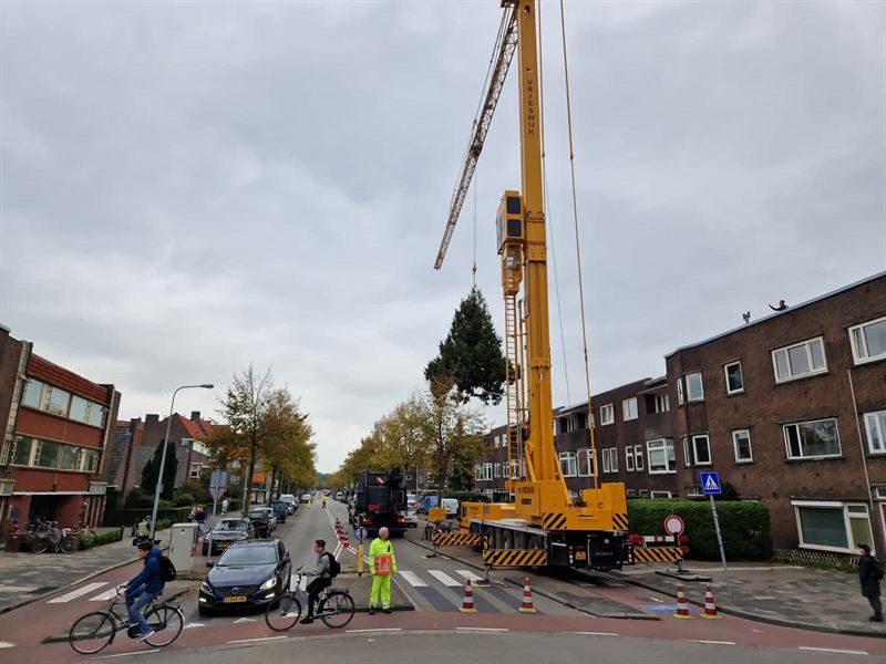 Telekraan tilt een boomdeel over een woonstraat